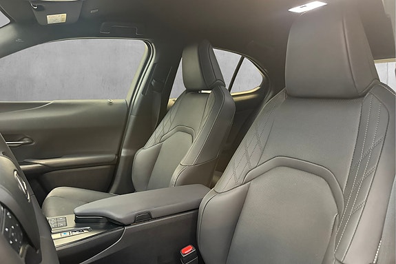 Lexus UX300e 14 of 30