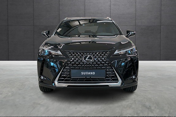Lexus UX300e 8 of 20