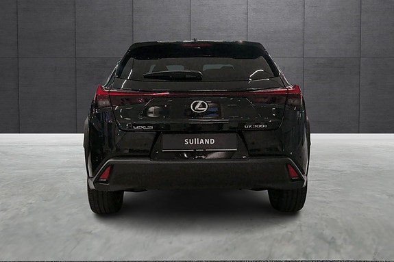 Lexus UX300e 4 of 20