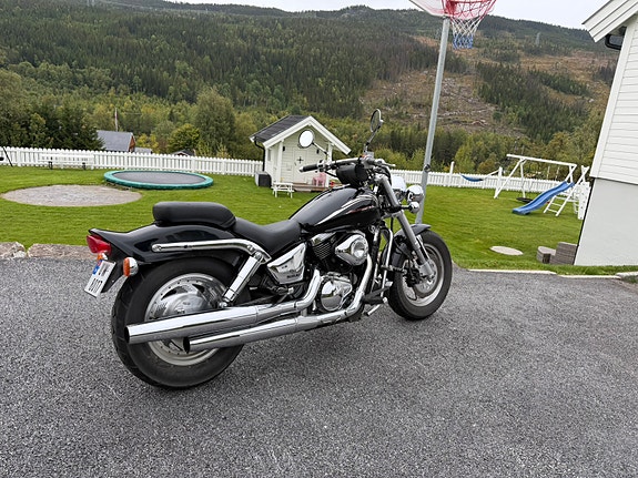 Suzuki VZ 800 Marauder 3 of 9