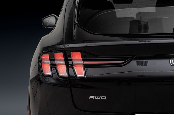 Ford Mustang Mach-E 9 of 30