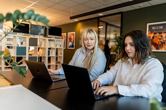Bilde 1 av 2 i jobbannonse-galleriet
