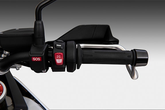 BMW F 900 GS / HØSTKUPP 13 of 15