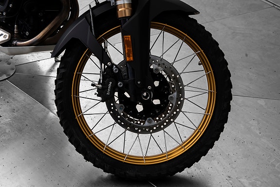 BMW F 900 GS / HØSTKUPP 10 of 15