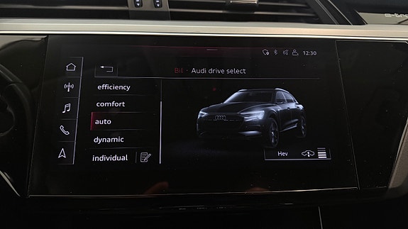 Audi e-tron 24 of 30