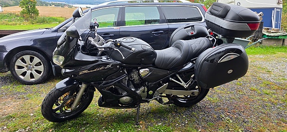 Suzuki GSF 600 Bandit 8 of 11