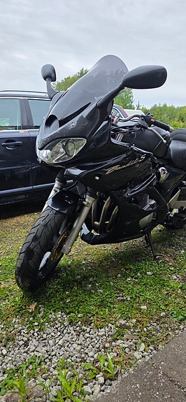 Suzuki GSF 600 Bandit 3 of 11