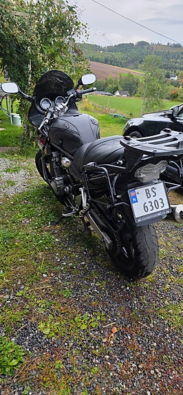 Suzuki GSF 600 Bandit 5 of 11