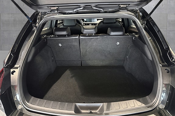 Lexus UX300e 17 of 22