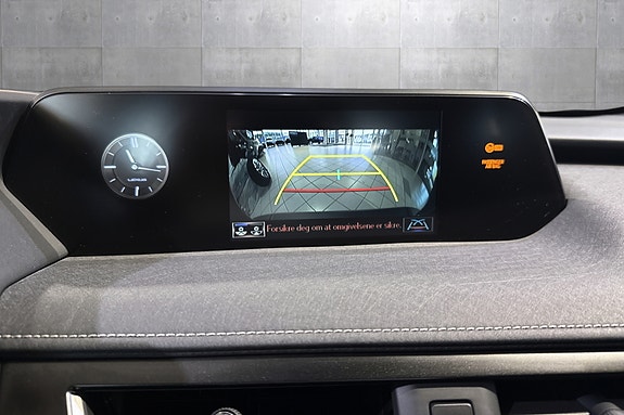 Lexus UX300e 13 of 22