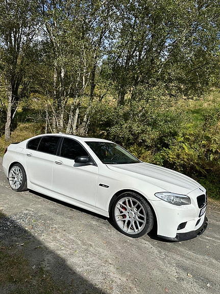 BMW 525d 11 of 18