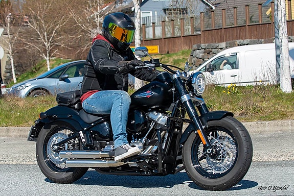 Harley-Davidson FLSL Softail Slim M8 16 of 16
