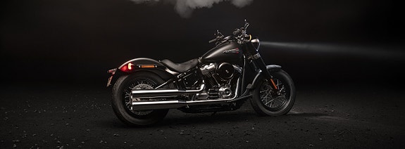 Harley-Davidson FLSL Softail Slim M8 11 of 16