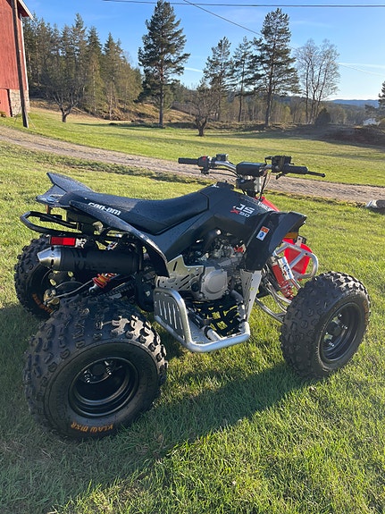 Can-Am DS 90 X 2 of 11