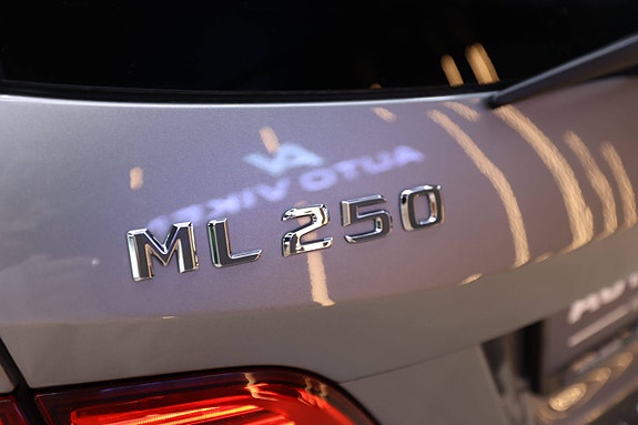 Mercedes-Benz ML250 20 of 30