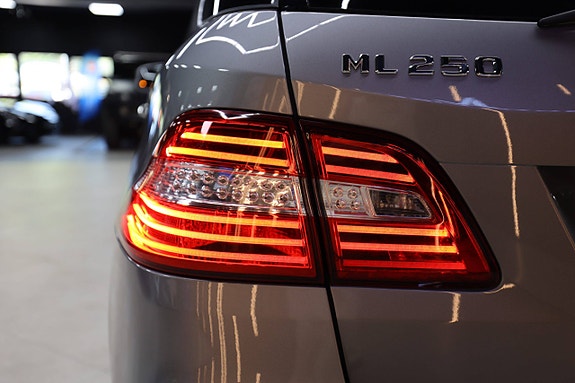 Mercedes-Benz ML250 19 of 30