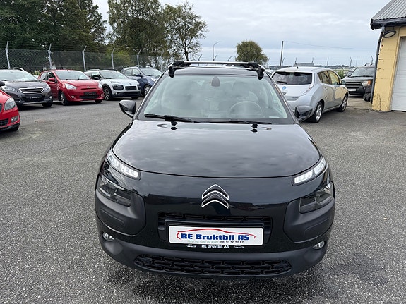 Citroen C4 Cactus 13 of 30