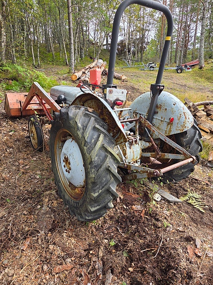 Massey Ferguson Gråtass Tea 20 4 of 7
