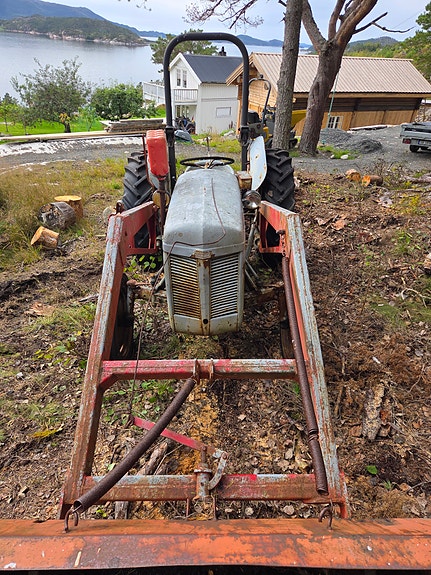 Massey Ferguson Gråtass Tea 20 2 of 7