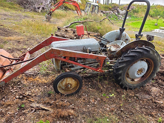 Massey Ferguson Gråtass Tea 20 3 of 7