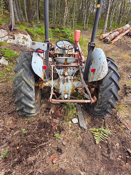 Massey Ferguson Gråtass Tea 20 5 of 7