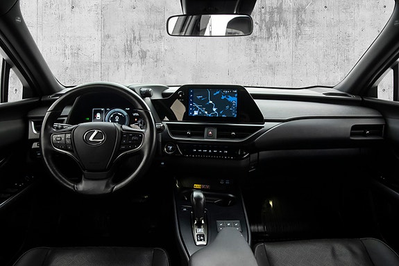 Lexus UX300e 20 of 29