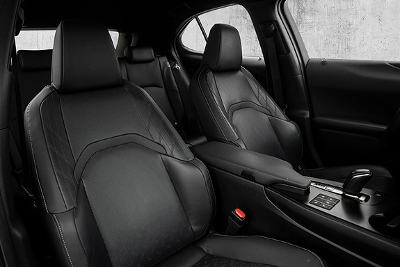 Lexus UX300e 28 of 29