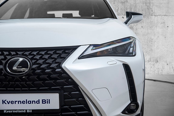 Lexus UX300e 9 of 29