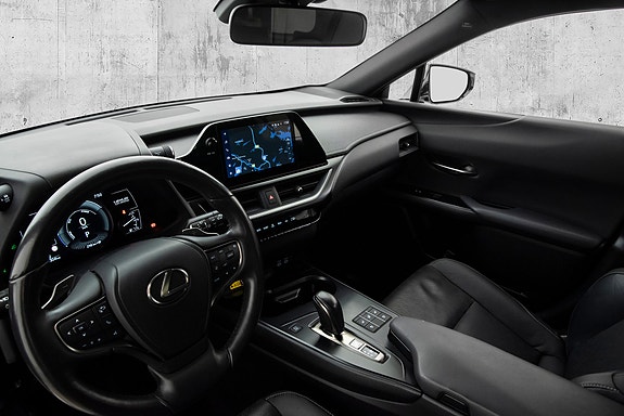 Lexus UX300e 19 of 29