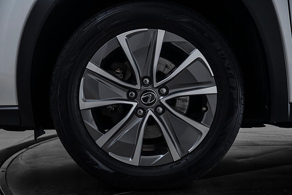 Lexus UX300e 11 of 29