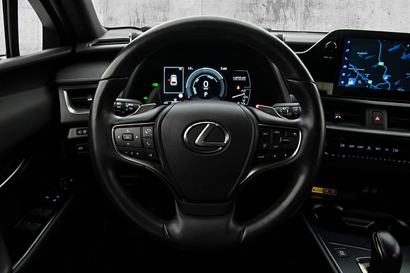 Lexus UX300e 21 of 29