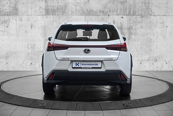 Lexus UX300e 4 of 29