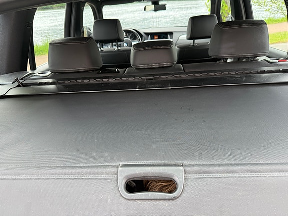 BMW X3 21 of 25