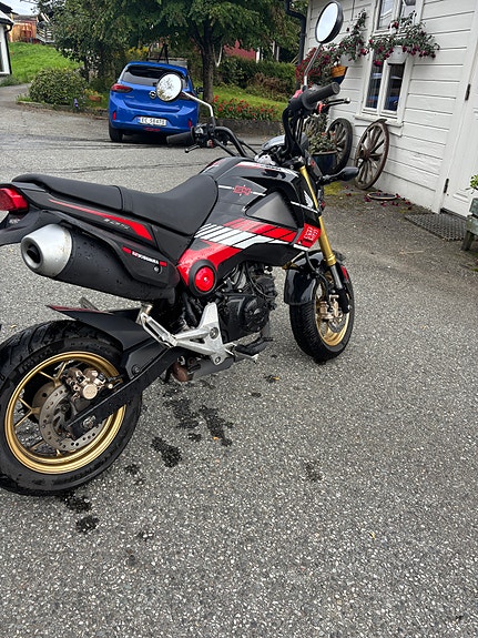 Honda MSX 125 4 of 10