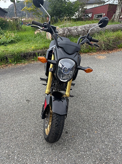 Honda MSX 125 3 of 10