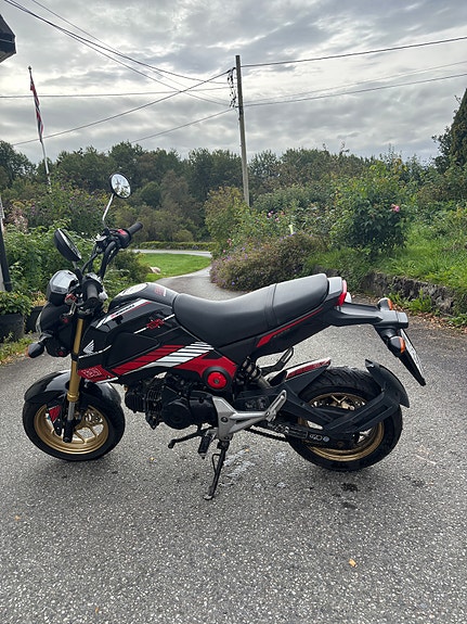 Honda MSX 125 2 of 10