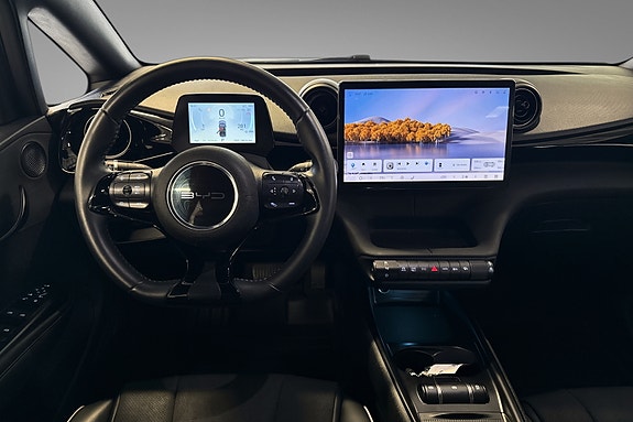 BYD Dolphin 10 of 14