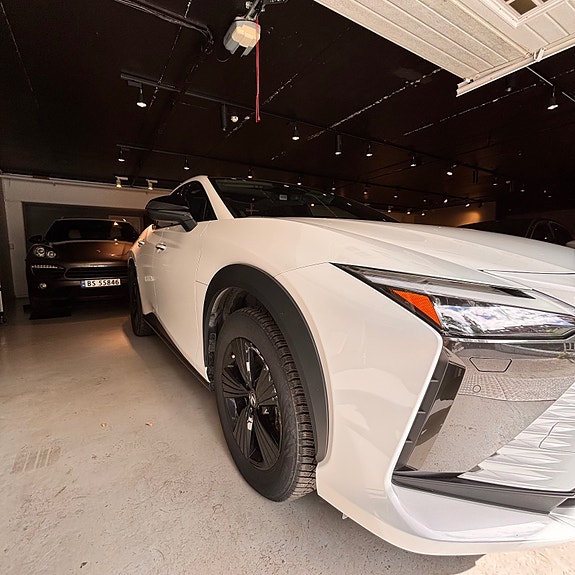 Lexus RZ450e 19 of 25