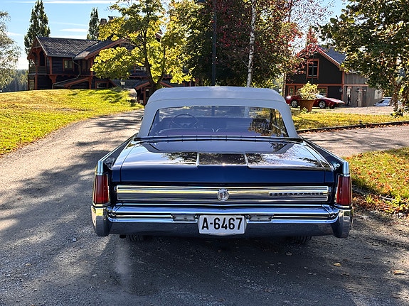 Buick Electra 9 of 30