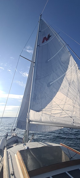 Nauticat 38, 1981 modell, Prisdropp før vinterlagring 3 of 30