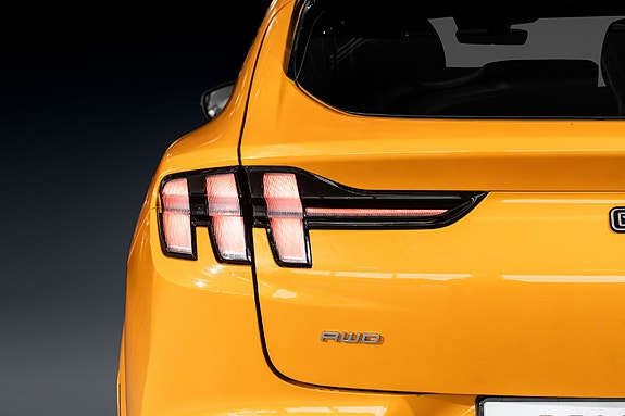 Ford Mustang Mach-E 9 of 30