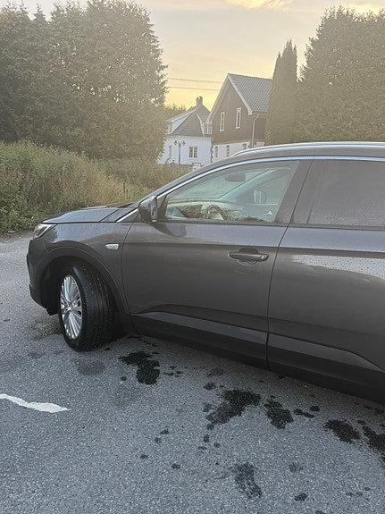 Opel Grandland X 2 of 19