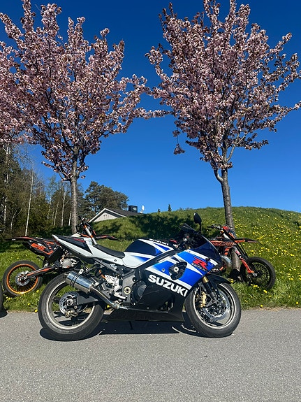 Suzuki GSX-R 1000 8 of 12