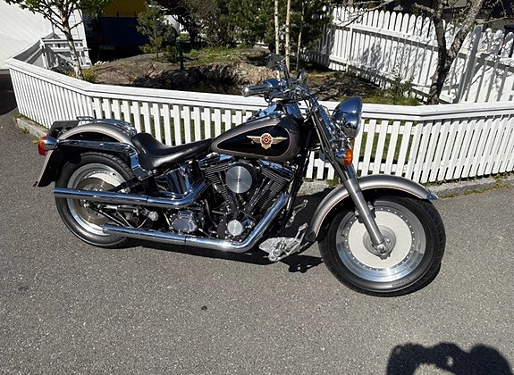 Harley-Davidson Fatboy 2 of 7