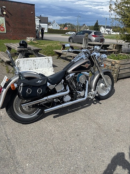 Harley-Davidson Fatboy 4 of 7