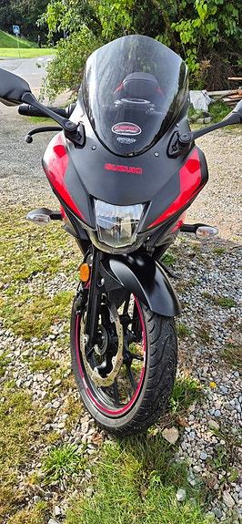 Suzuki GSX-R 125 8 of 8