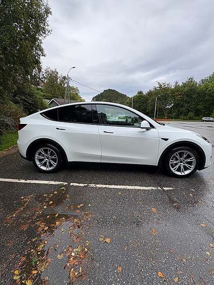 Tesla Model Y 3 of 14