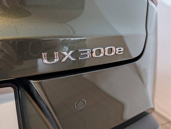 Lexus UX300e 6 of 27