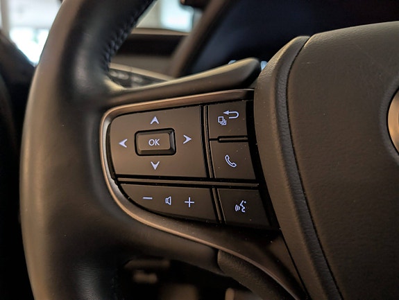 Lexus UX300e 21 of 27