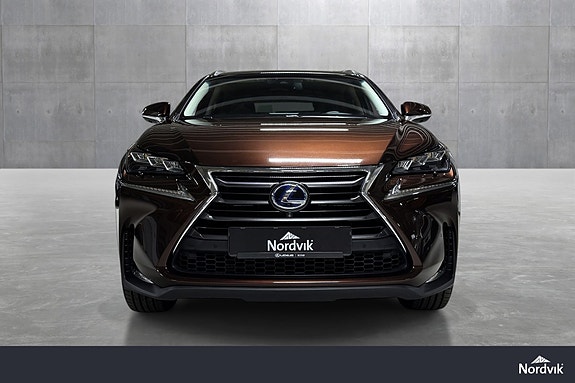 Lexus NX300h 7 of 26
